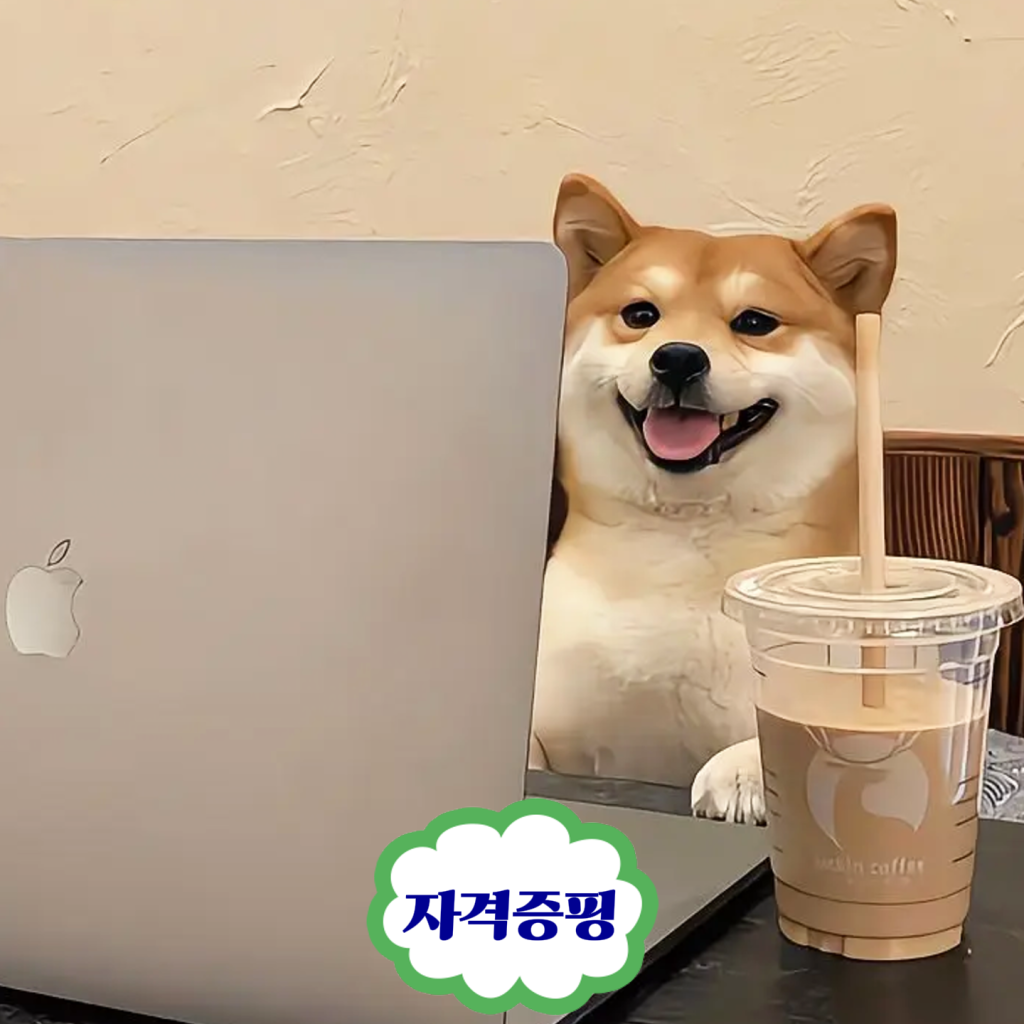 컴퓨터 자격증 종류